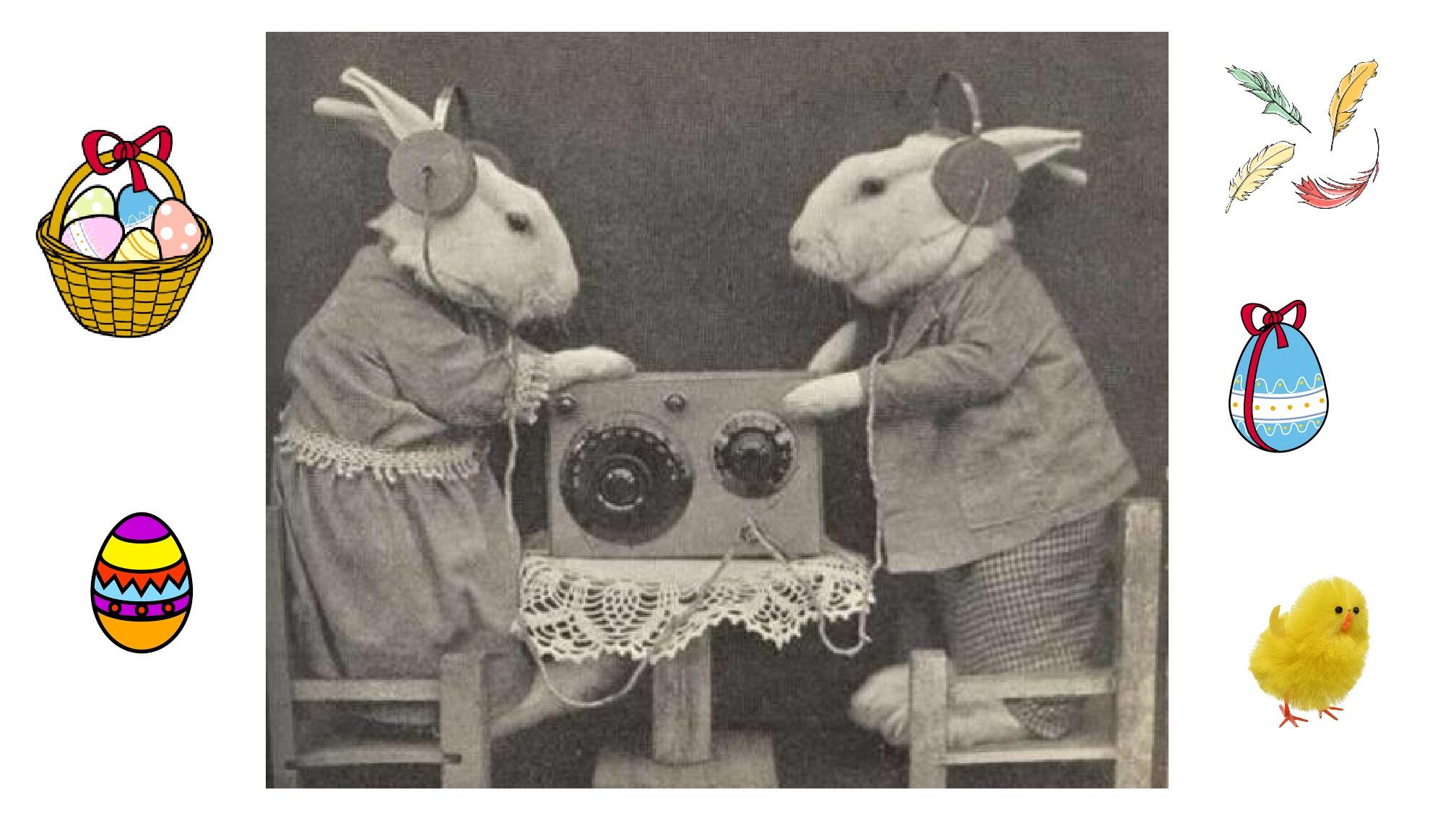 Radio pets. Свинья Винтаж. Кролик телеграфист. Rabbits Listening to the Radio. Радио о животных.