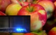 Jästa äpplen orsakade stort polispådrag i Eskilstuna