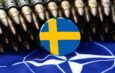 Regeringen vill ge NATO särskilt tillstånd att vid övningar skada miljön i Sverige